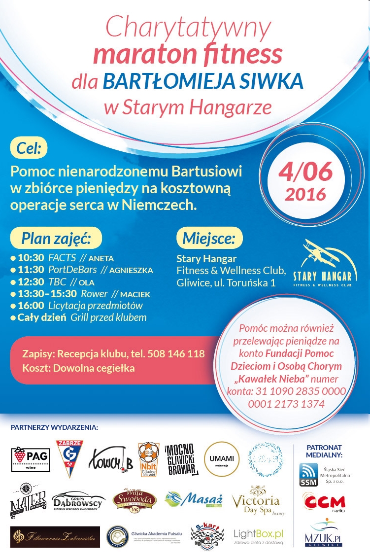 plakat-alcja-duzy